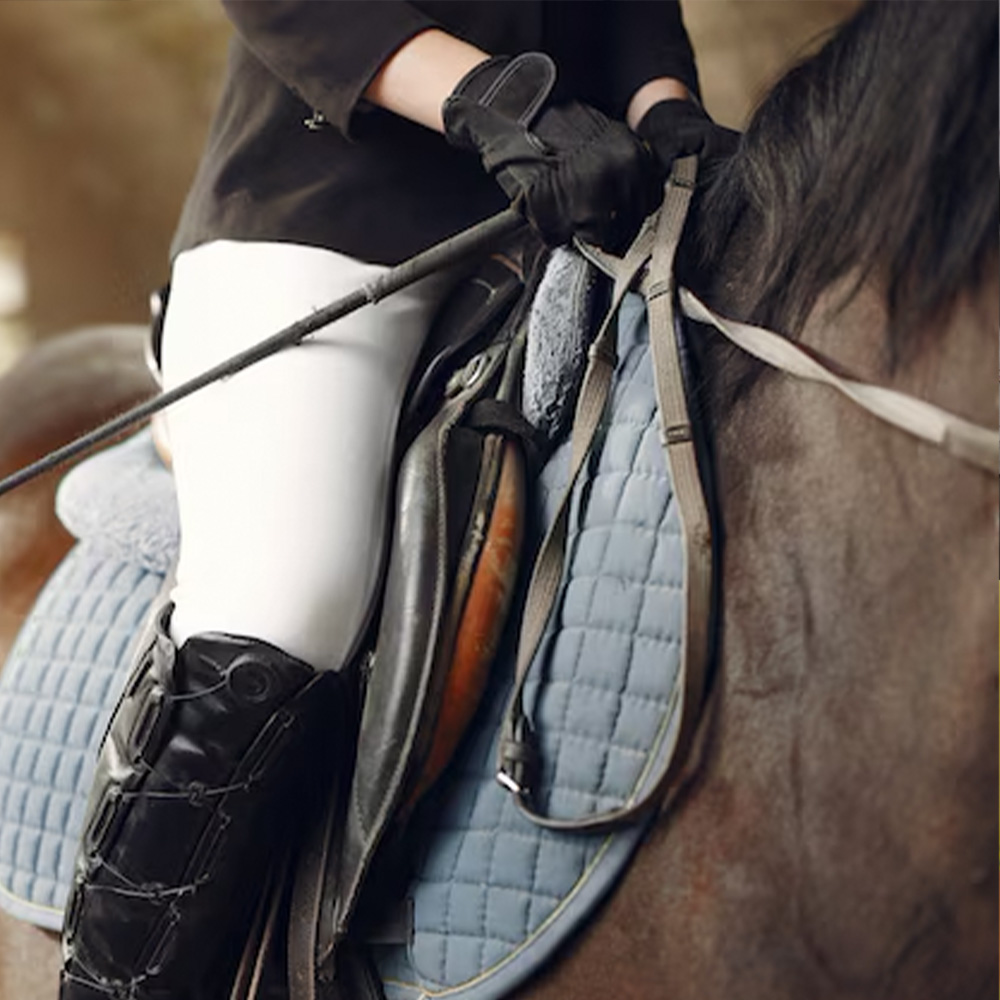 Foods and Vegetables